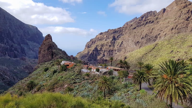 Mâcher de Tenerife