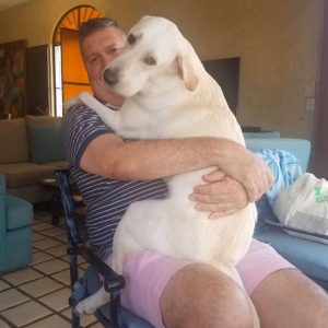 Marty Rogo et mangues à Puerto Vallarta, Mexique