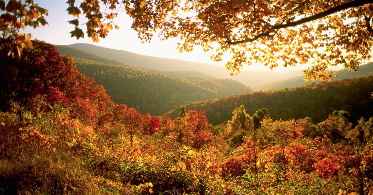 Les meilleurs parcs nationaux à visiter en automne