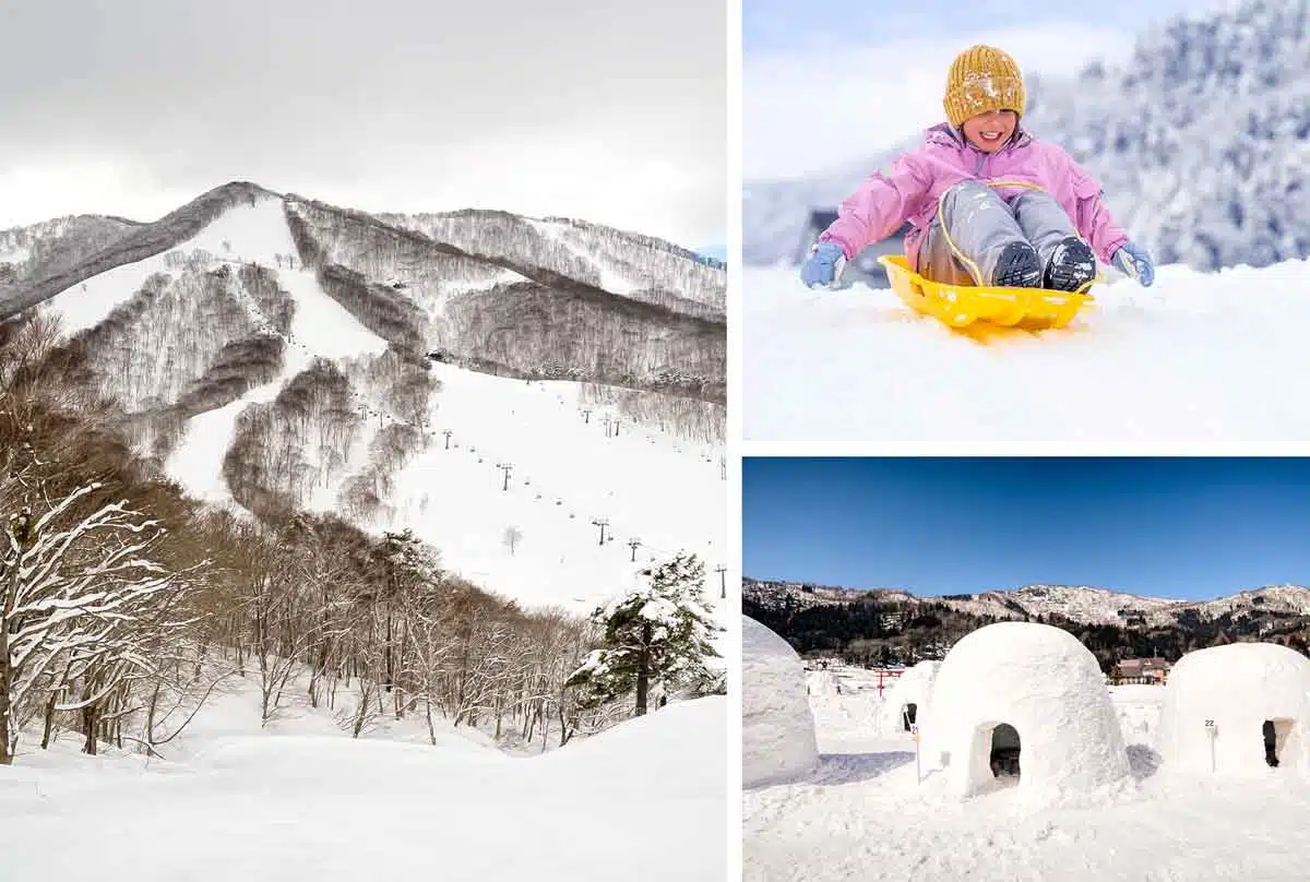 ▷ Explorer Iiyama, Japon | Un paradis hivernal pour toute la famille. - Les meilleurs endroits à visiter