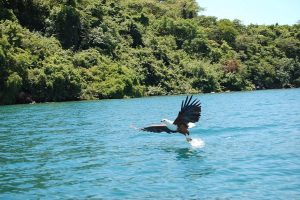 7 choses passionnantes à faire au Malawi pour les amateurs d'aventure