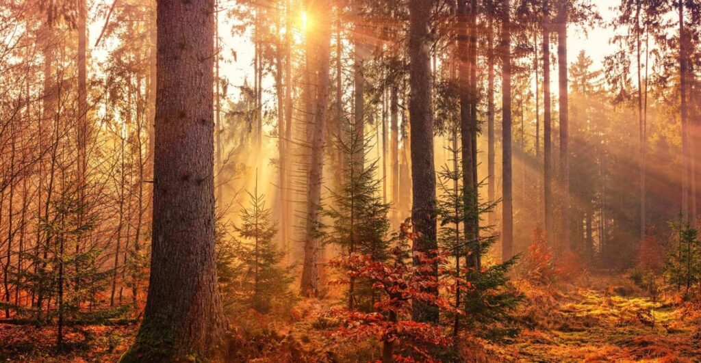 conseils pour voyager en automne