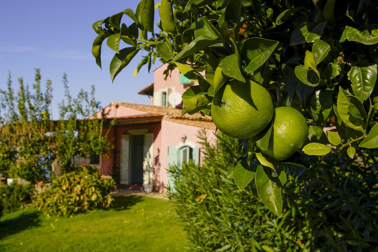 Villa-Sole-Sicile-Olivers-Voyages