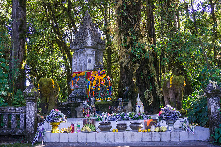 Doi Inthanon, le point culminant de la Thaïlande
