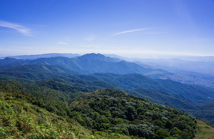 Vue depuis la randonnée de Kew Mae Pan, Doi Inthanon, Thaïlande