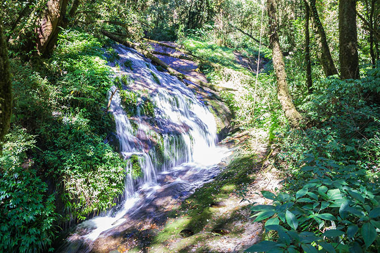 Une cascade sur le sentier naturel Kew Mae Pan, Chiang Mai, Thaïlande