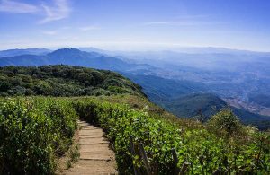 Une excursion d'une journée à Doi Inthanon depuis Chiang Mai, Thaïlande