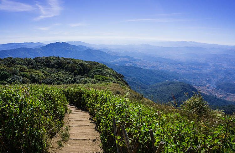 Une excursion d'une journée à Doi Inthanon depuis Chiang Mai, Thaïlande