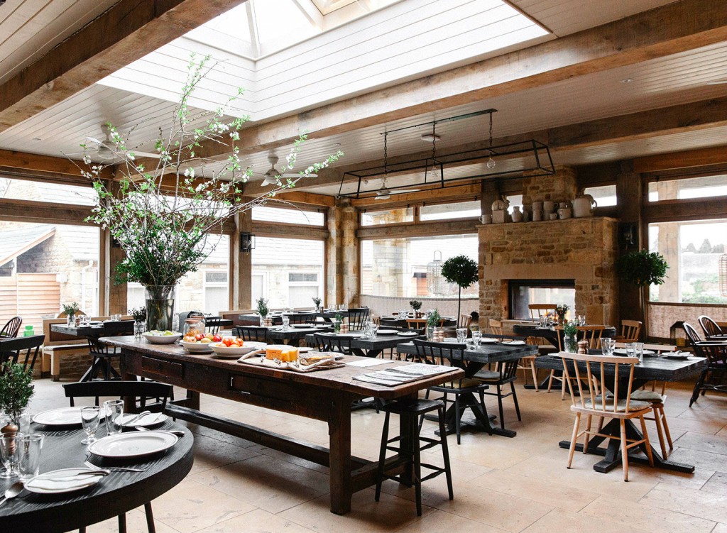 Le lapin sauvage - Cotswolds
