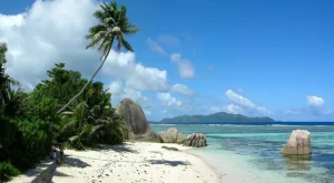 Guide définitif pour profiter de vacances inoubliables sur les plages tropicales