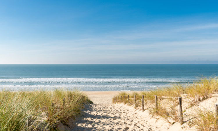 Accès à la plage de sable fin par les dunes du Cap Ferret, Bassin d'Arcachon