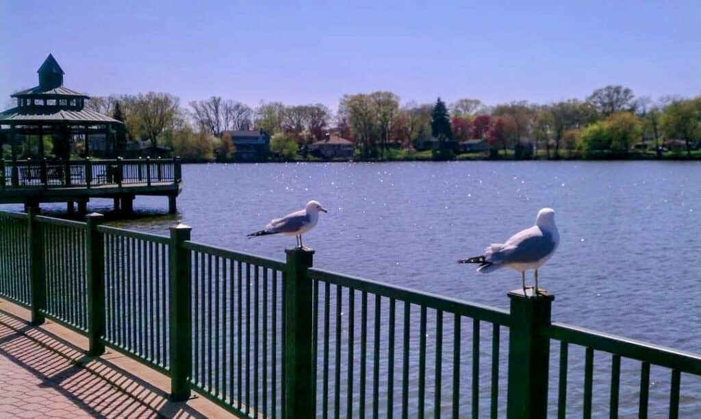 parc au bord du lac