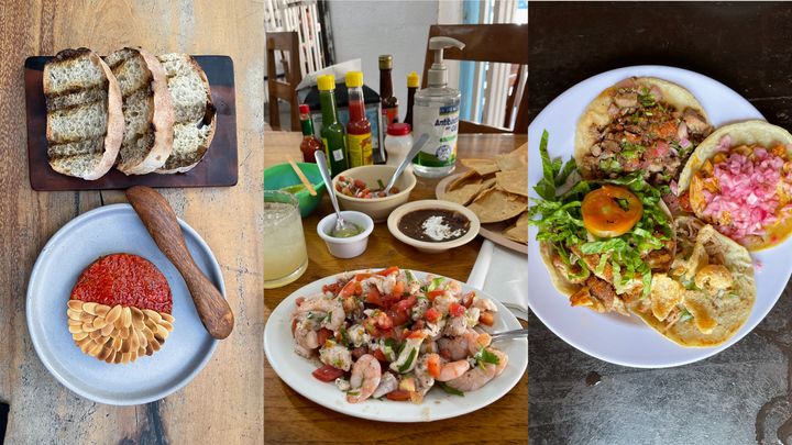 De gauche à droite : les entrées d'Arca, le ceviche d'El Camello Jr. et les tacos de Taqueria Honorio.