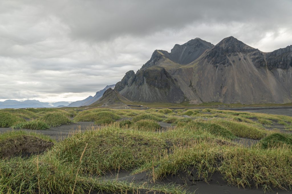Des dunes de sable noir recouvertes d'herbe, ondulantes comme des champs sans fin.