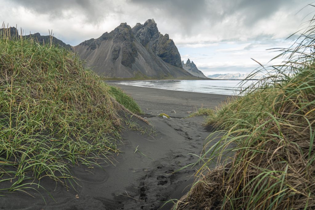 Un chemin de sable noir est creusé entre les dunes herbeuses menant à l'eau.