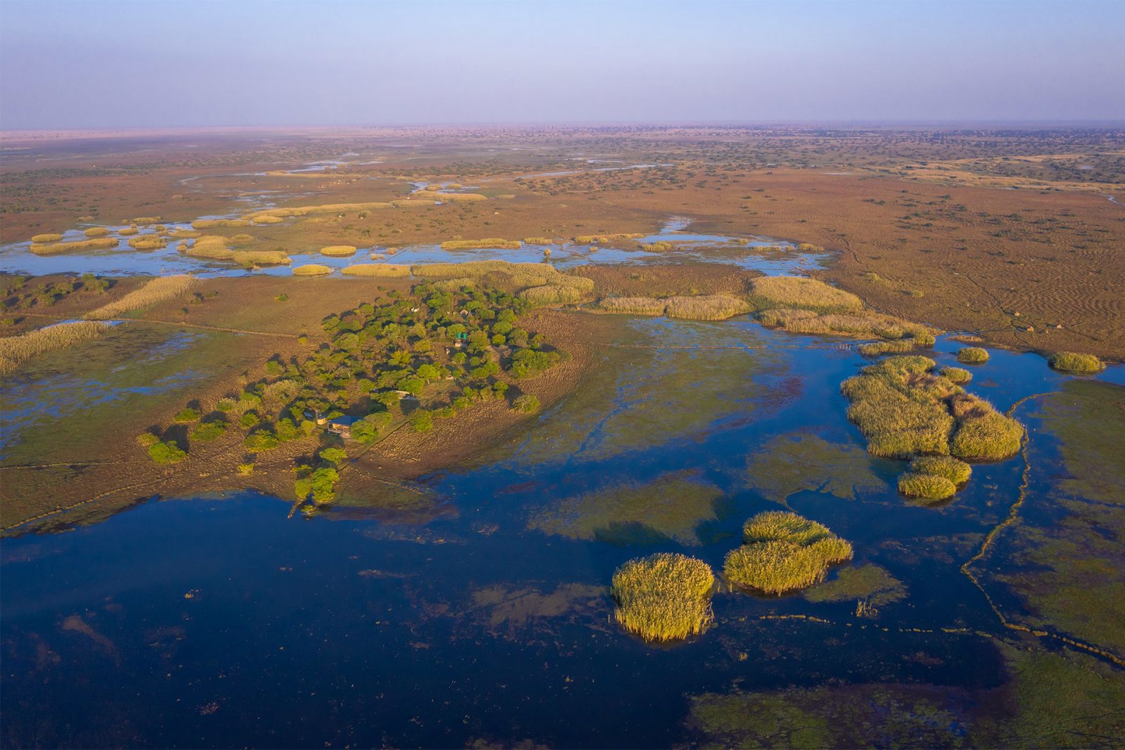 Shoebill Island Camp Marais de Bangweulu Zambie