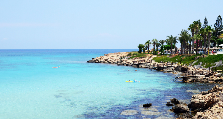 Baie de figuier, Chypre