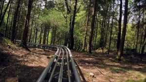 "J'ai fait des montagnes russes à travers la forêt galloise et j'ai adoré ça" 🌍 PlacesToVisit