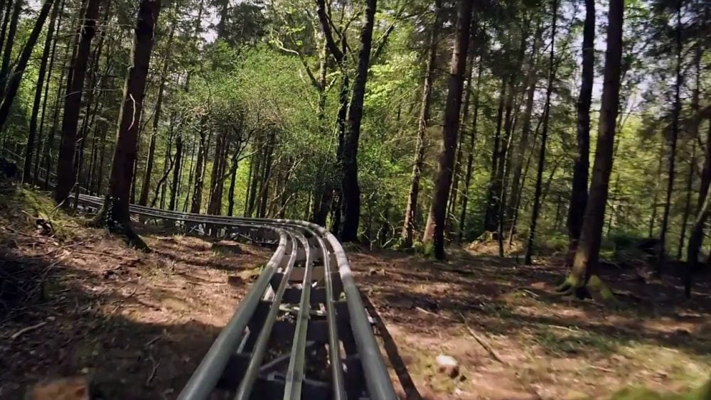 "J'ai fait des montagnes russes à travers la forêt galloise et j'ai adoré ça" 🌍 PlacesToVisit