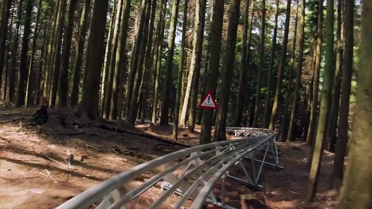 «J'ai fait des montagnes russes à travers la forêt galloise et j'ai adoré ça» 4 «J'ai fait des montagnes russes à travers la forêt galloise et j'ai adoré ça» 4