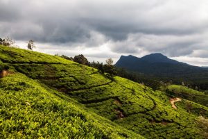 Temple Seetha Amman – Résidence de Sita à Lanka