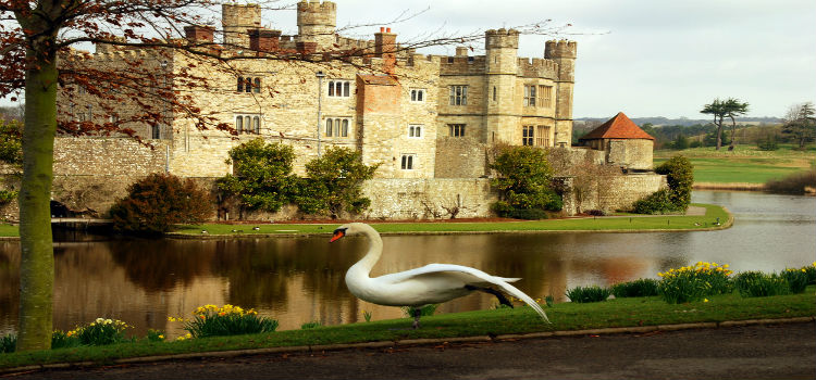 Château de Leeds. Kent