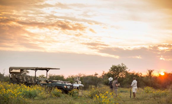Visiteurs de safari lors d'un safari sans paludisme à Madikwe