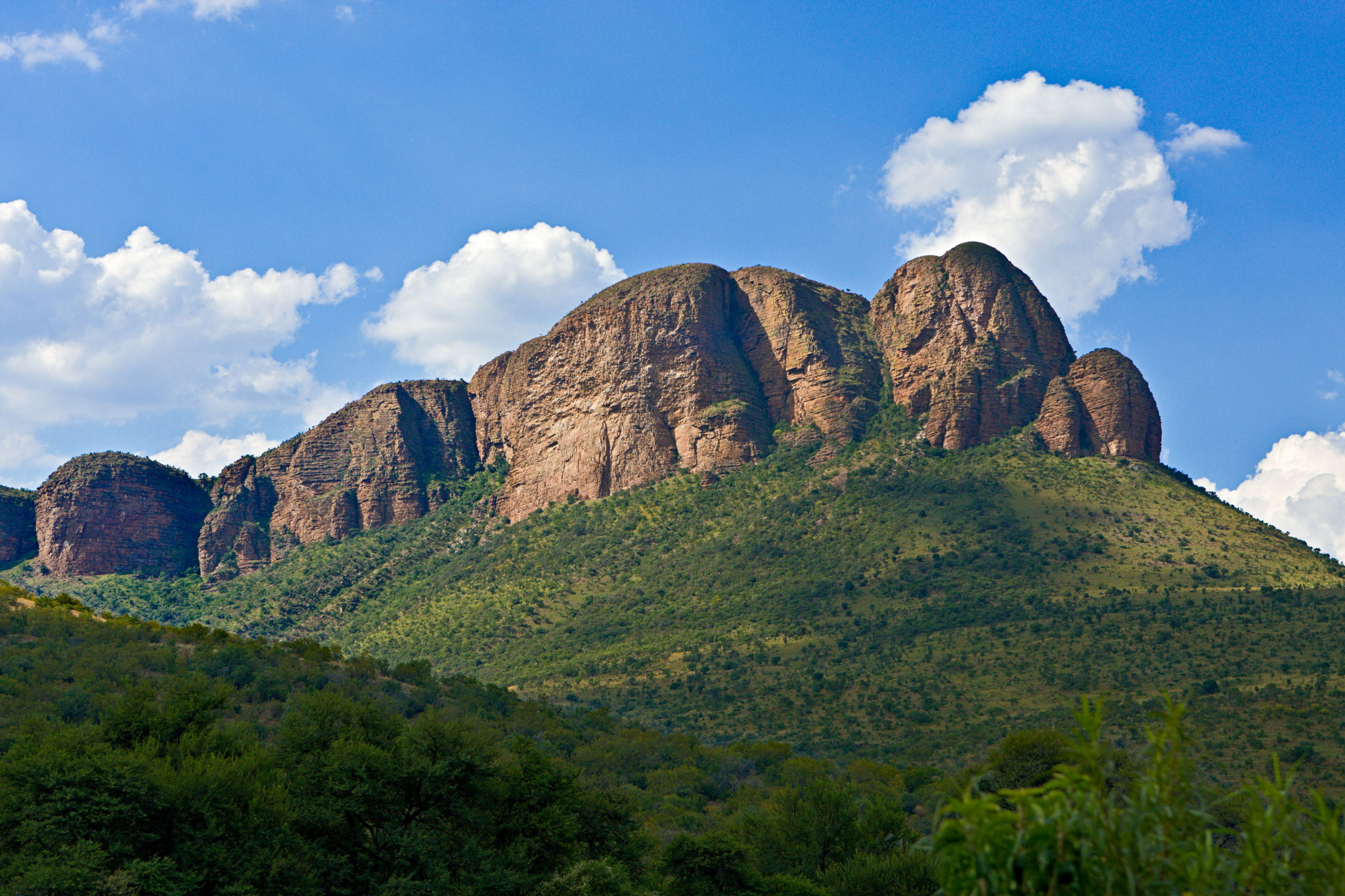 Le parc national de Marakele est une destination idéale pour voir les Big Five lors d'un safari sans paludisme.