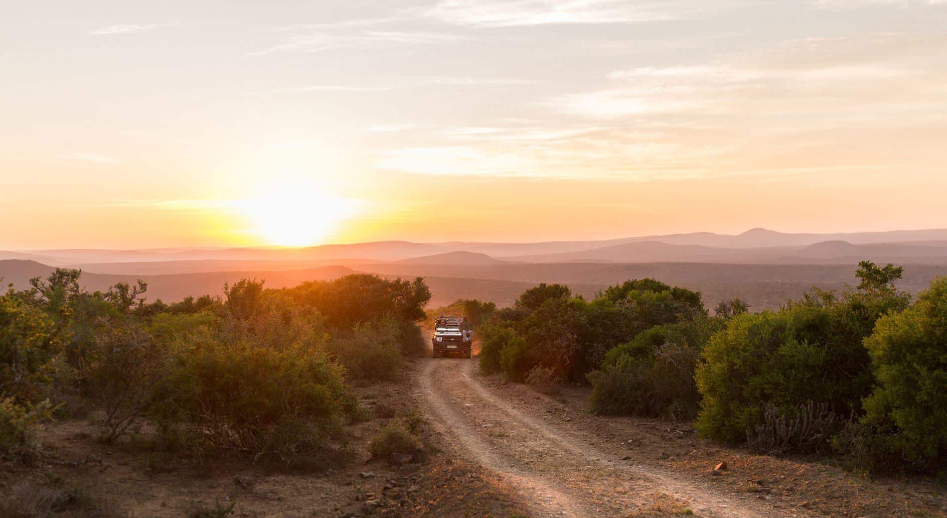 Les meilleurs endroits en Afrique du Sud pour un safari sans paludisme