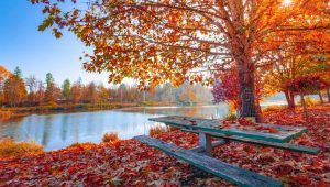 Profitez de cet automne sur la Costa del Sol