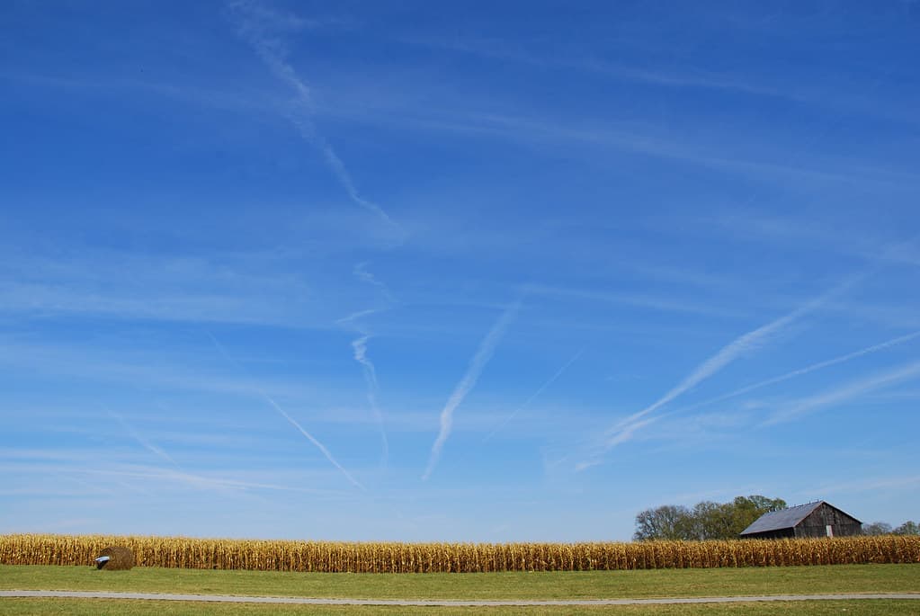 Fermes Gallrein