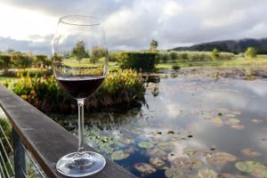 Le joyau caché de la route des vins de Plett
