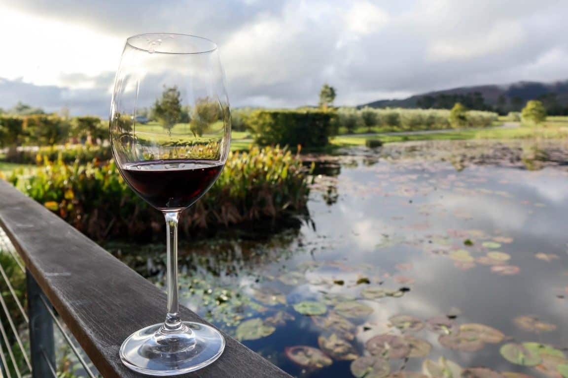 Le joyau caché de la route des vins de Plett