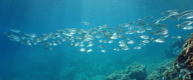 Que faire sur la Costa Brava