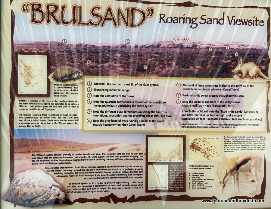 Réserve naturelle de Witsand Kalahari – Dormir avec les chauves-souris 4 La sagesse du Kalahari