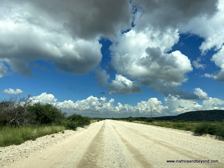 Réserve naturelle de Witsand Kalahari – Dormir avec les chauves-souris 6 Réserve naturelle de Witsand Kalahari