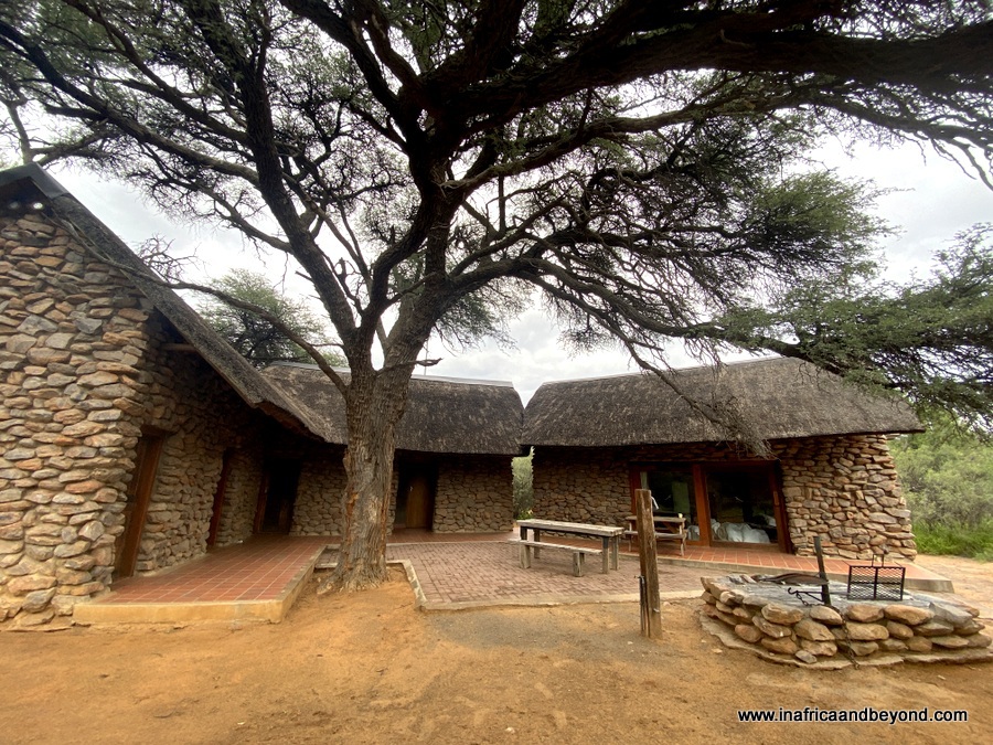 Réserve naturelle de Witsand Kalahari – dormir avec des chauves-souris 7 Hébergement à Witsang Kalahari