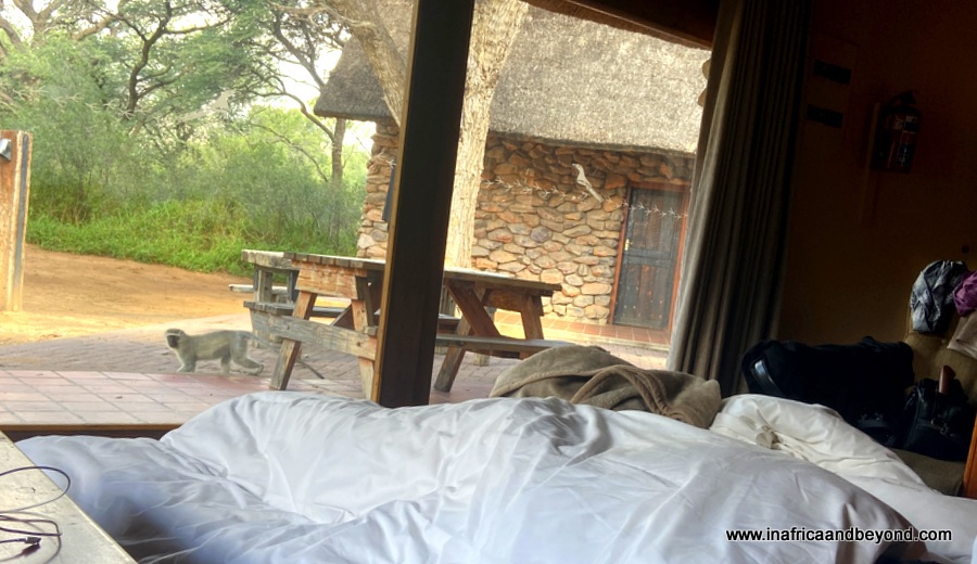 Réserve naturelle de Witsand Kalahari – dormir avec des chauves-souris 10 Hébergement intelligent