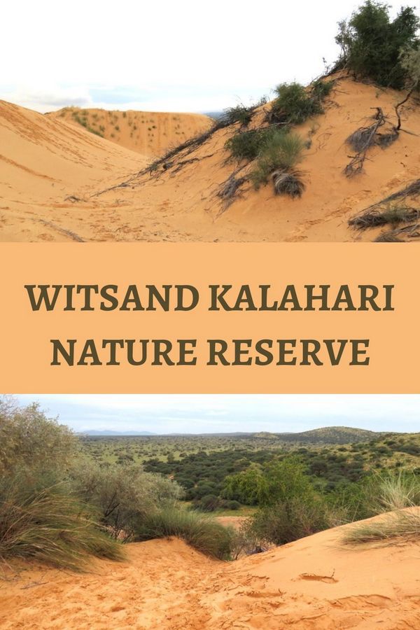 Réserve naturelle de Witsand Kalahari – Dormir avec les chauves-souris15 Réserve naturelle de Witsand Kalahari