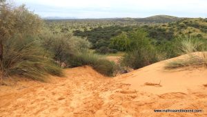 Réserve naturelle de Witsand Kalahari – dormir avec les chauves-souris – en Afrique et au-delà