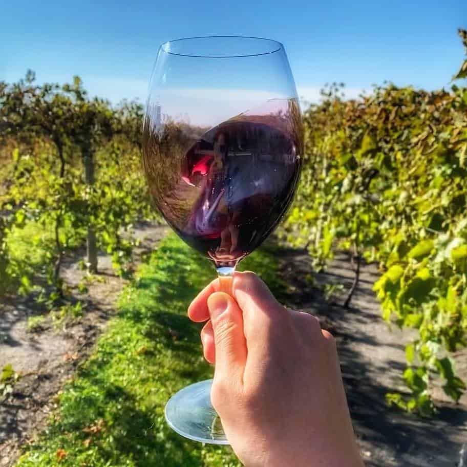 Domaine viticole de Soldier Creek