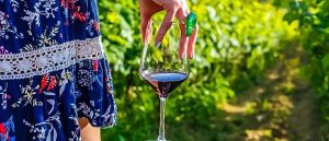 Vins croates : phénoménaux et présidentiels