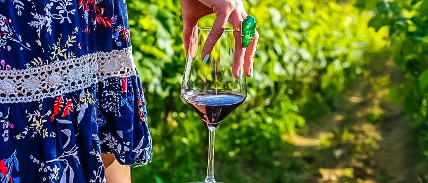 Vins croates : phénoménaux et présidentiels